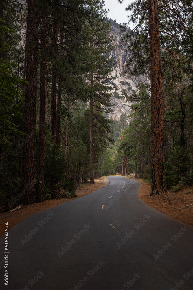 Forest Road Forest Road