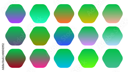 Colorful Parakeet Color Shade Linear Gradient Palette Swatches Web Kit Rounded Hexagons Template Set