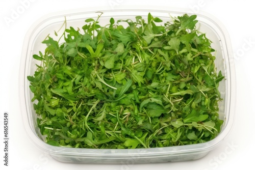 container filled with fresh green leaves on a white background