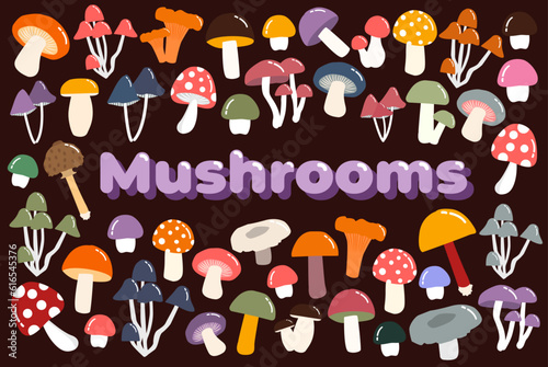 Set of colorful cartoon different mushrooms. Amanita, milk mushroom, boletus, toadstools, chanterelle, russula and mushroom umbrella. Forest wild mushrooms types. Poisonous and edible mushroom.