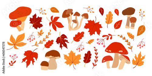 Autumn illustration set with mushrooms and leaves on white background. Happy harvest.