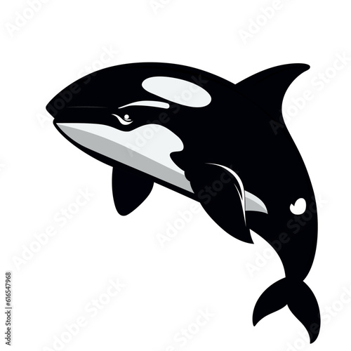 killer whale vector illustration , Orcinus orca flat style vector image, whale , dolphin , sea creature stock vector