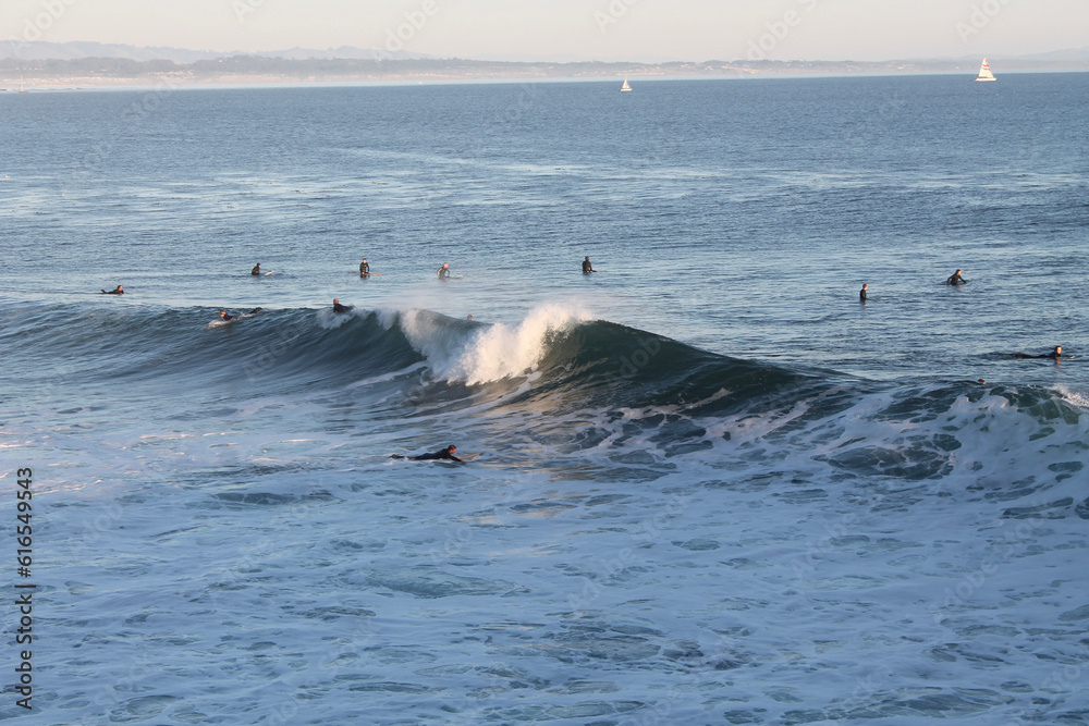 Fototapeta premium Surfers on the ocean in Santa Cruz California