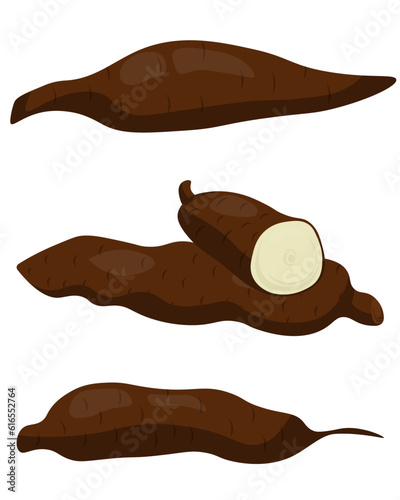 Yucca root set, brown starchy root whole and half