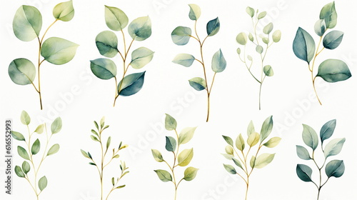 Watercolor floral illustration set - green   gold leaf branches collection  for wedding stationary  greetings  wallpapers  fashion  background. Eucalyptus  olive  green leaves