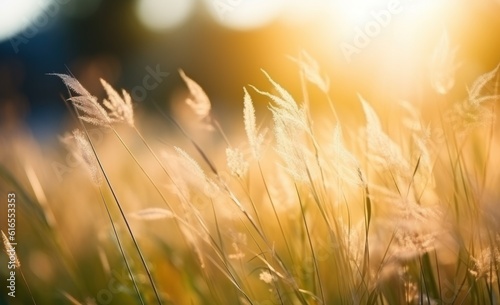 Summer sunny meadow. Illustration AI Generative.