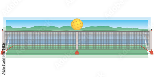 pickleball sport net and outdoor ball with court and sky in background