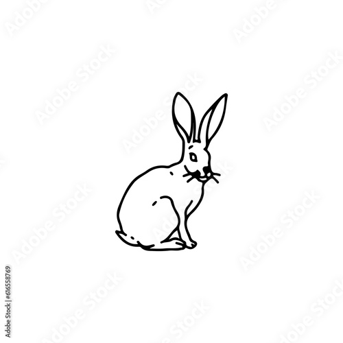 vector illustration of little bunny