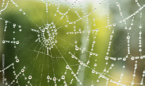 Close up of spiders web with dew