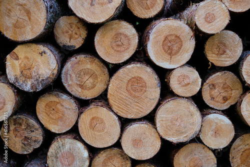 Stack of wooded logs