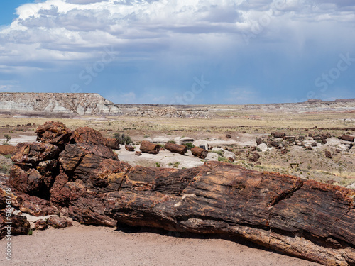 Big petrified log at Petrified Forest National Park - Arizona  USA