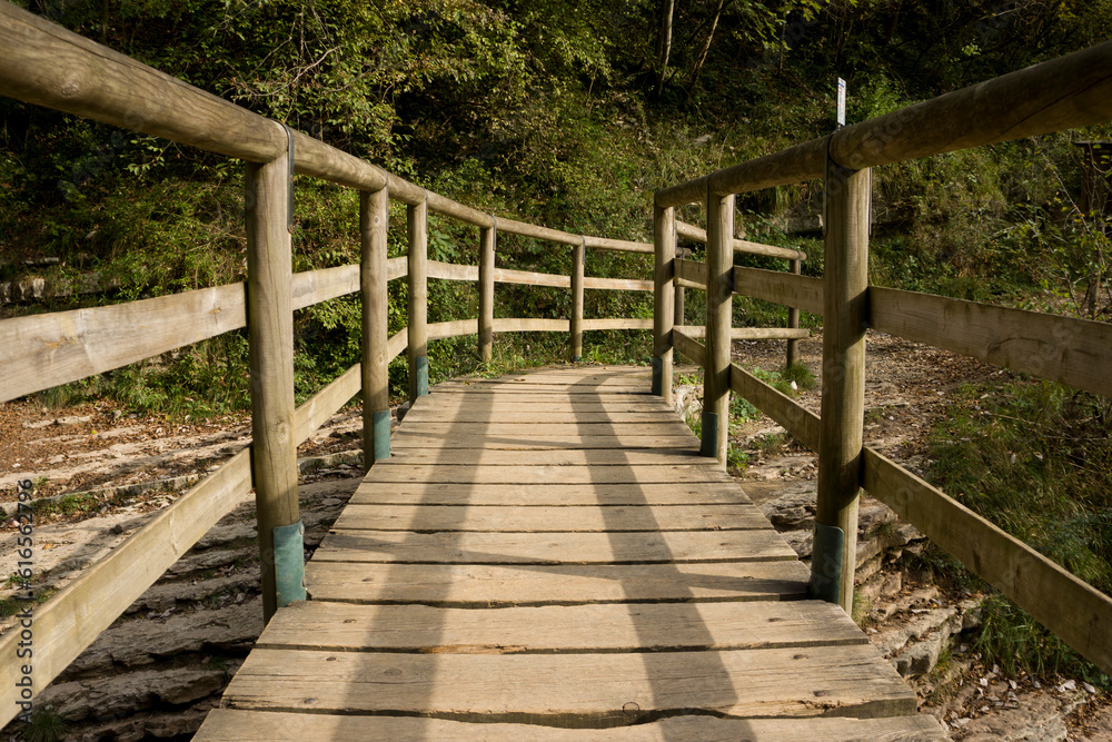 Wooden bridge on a mountain trail