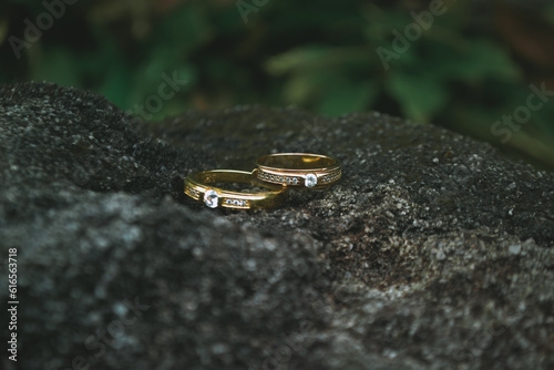 gold couple ring wedding photo