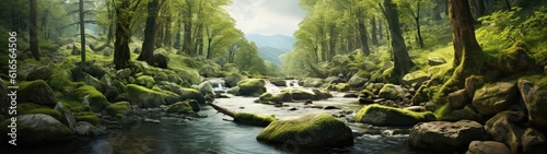 a river with rocks and trees photo