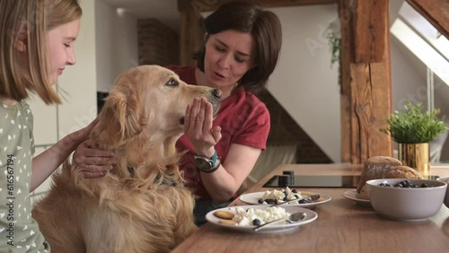 Mother and daughter with golden retriever dog with cottage chease breakfast feeding pet and smiling, Young woman and preteen girl family with purebred doggy eat cream milk desert photo