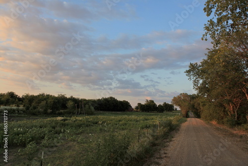 Texas Countryside