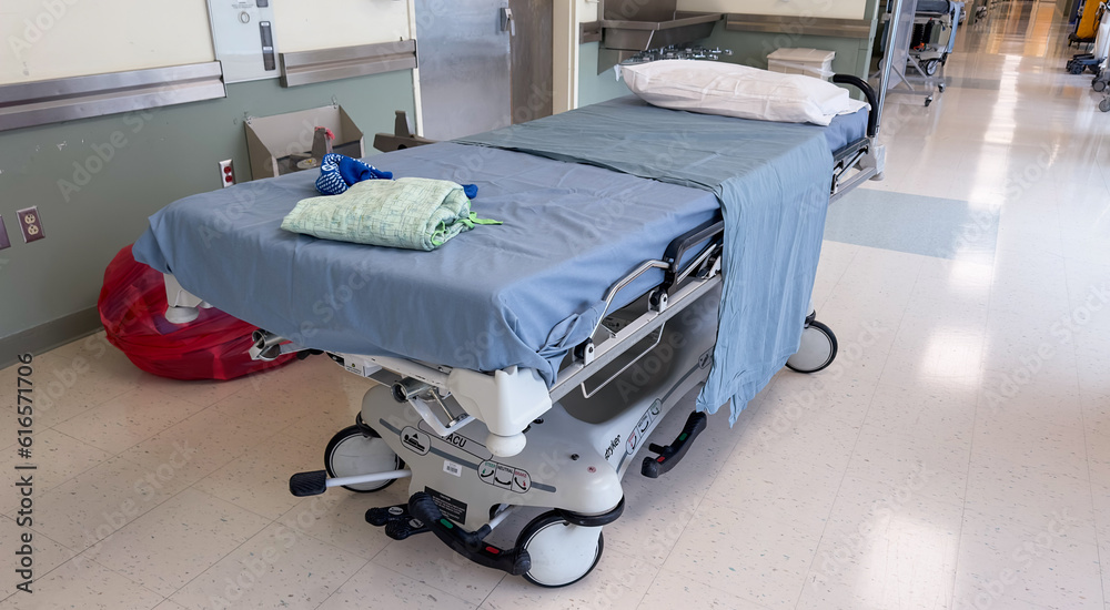 hospital bed, a symbol of vulnerability and hope, represents the