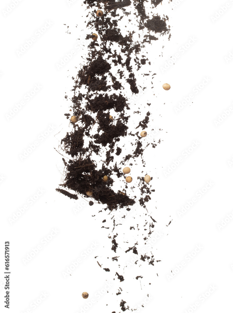 Soil dirt Soy bean mix flying explosion, Soybean soil fertilizer abstract cloud fly. Soil mix soy bean planting splash stop in air. white background isolated high speed freeze motion