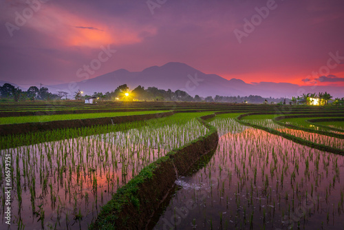 Beautiful morning view indonesia Panorama Landscape paddy fields with beauty color and sky natural light