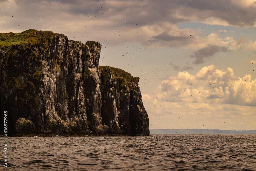 2023-06-19 THE CLIFFS ON THE ISLAND OF MAY WITH NUMEROUS PUFFINS FLYING AROUND THE SKY WITH NICE WHITE CLOUDS IN SCOTLAND