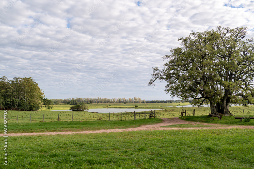 Countryside landscape at daytime, clouds and sun. Countryside landscape at daytime, clouds and sun.
