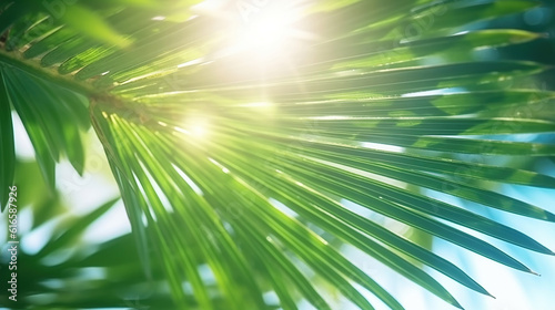 Blur beautiful nature green palm leaf on tropical beach with bokeh sun light wave abstract background. Generative Ai © Malika