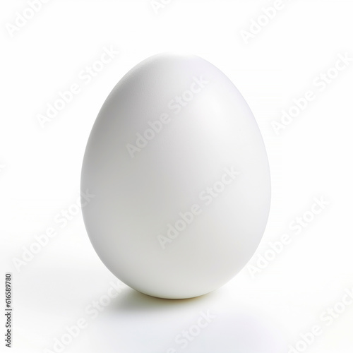 an ordinary plain egg on clear white background