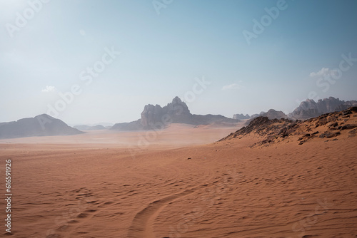 Fototapeta Naklejka Na Ścianę i Meble -  desert