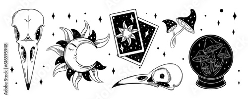 Tarot aesthetic set. Spiritual tarot cards, mushroom, crystal ball for wicca. Vector illustration isolated in white background