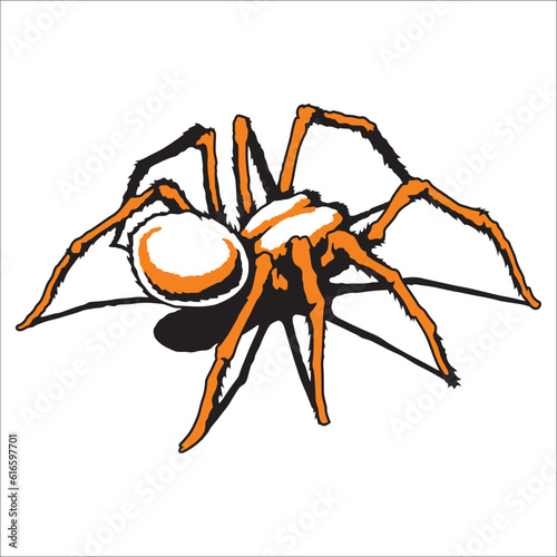 tarantula vector can be used as graphic design