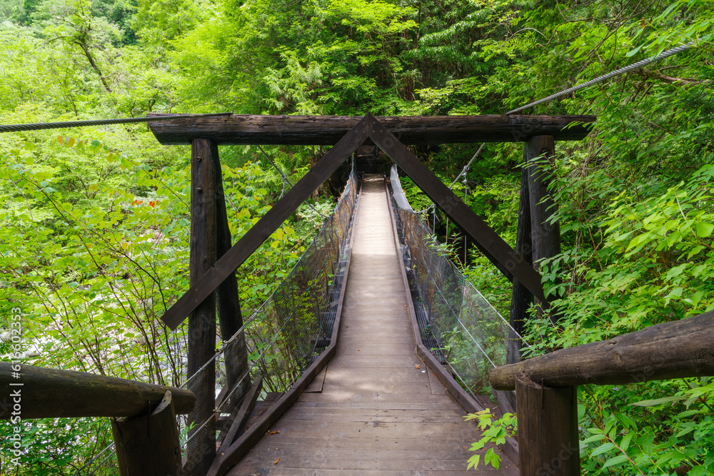 阿寺渓谷の中八丁吊り橋