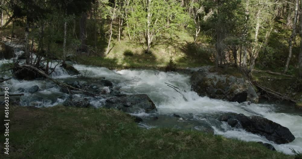 Summer in Norway. Beautiful forest with coniferous trees and a river. Summer in Norway. Beautiful forest with coniferous trees and a river.