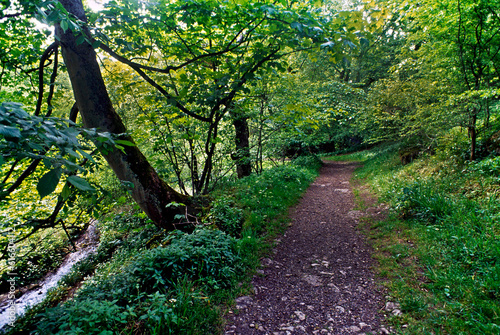 Trilha em Wenslydale, Lake District. Inglaterra. photo