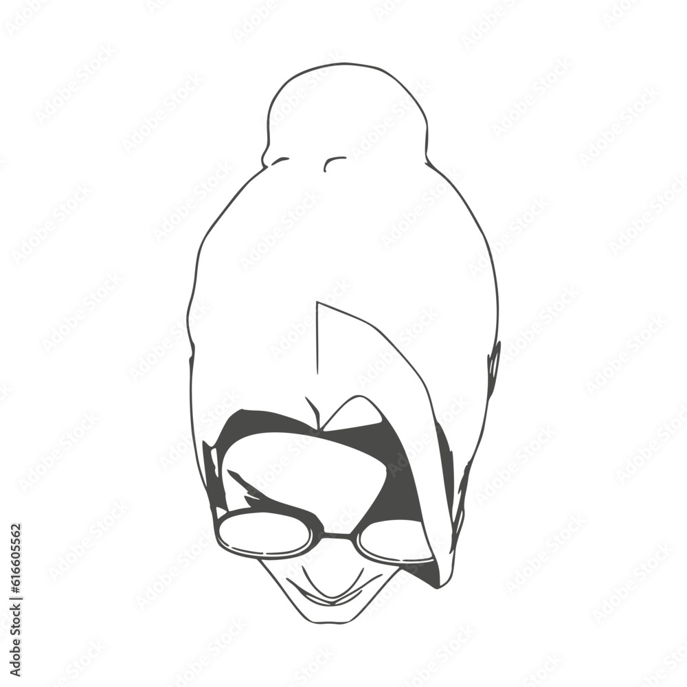 Fototapeta premium Silhouette of a female head. Beauty and fashion. Elegant silhouette of a woman wearing sunglasses