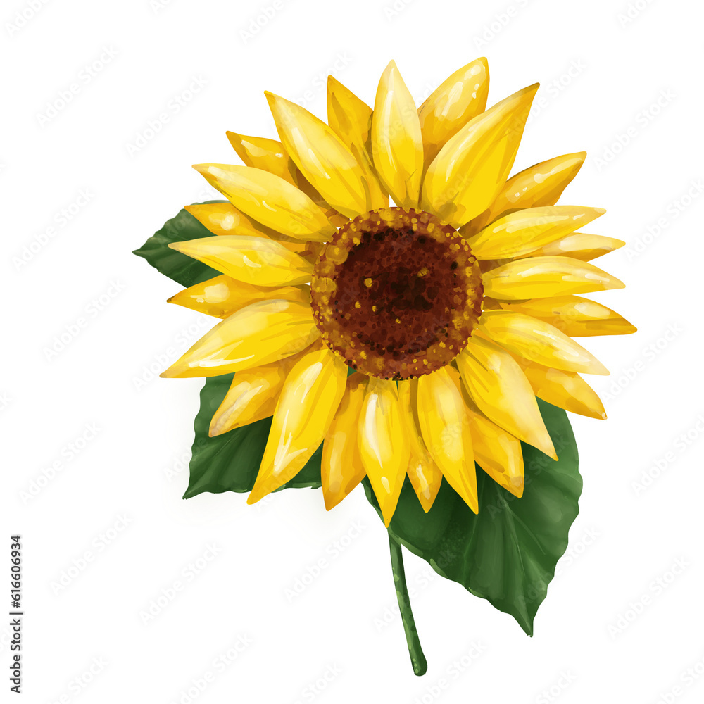Naklejka premium Beautiful Sunflower Clipart