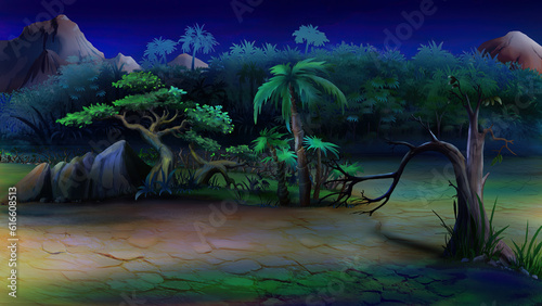 Green Plants in the sand in the African savannah at night