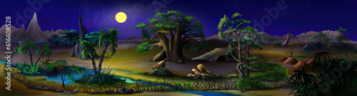 Plants near a small river in the African savannah at night