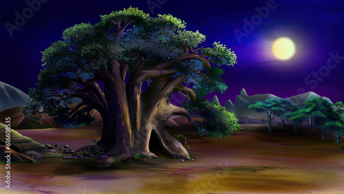 Big green tree in the African savannah at night