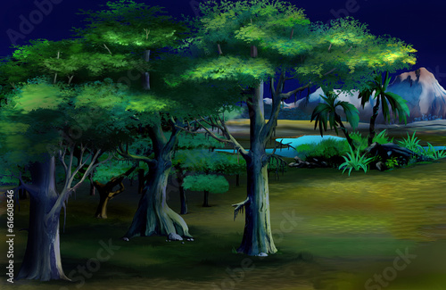Big green acacia trees in the African savannah at night