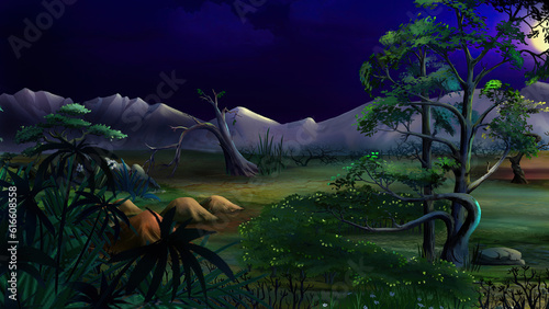 Plants in an oasis in the middle of the desert at night