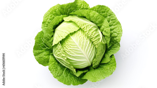 Fresh cabbage on a white background 