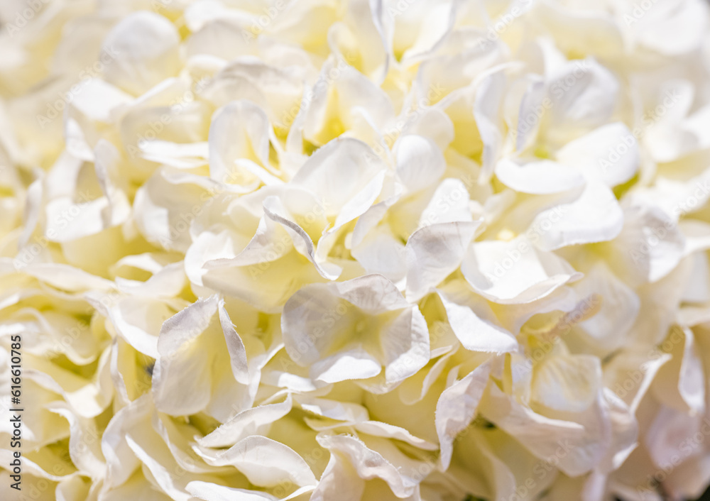 artificial hydrangea flower closeup