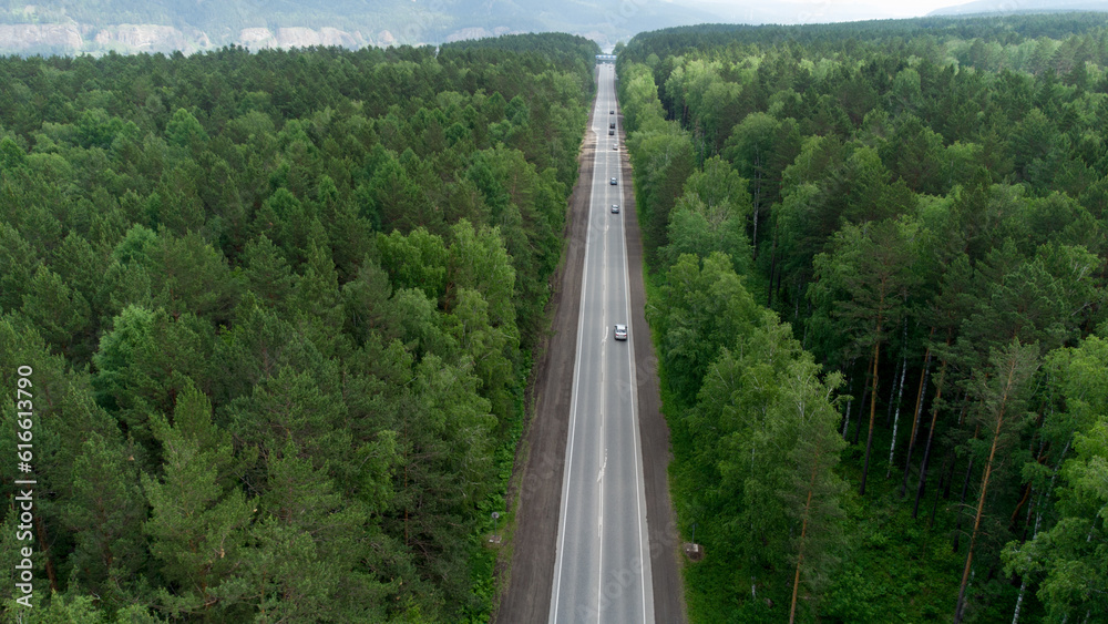 Fototapeta premium Aerial view of green forest and red car on the road. Bird's eye. Travel concept.