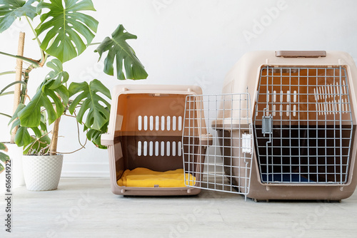 travel pet carrier, white wall background