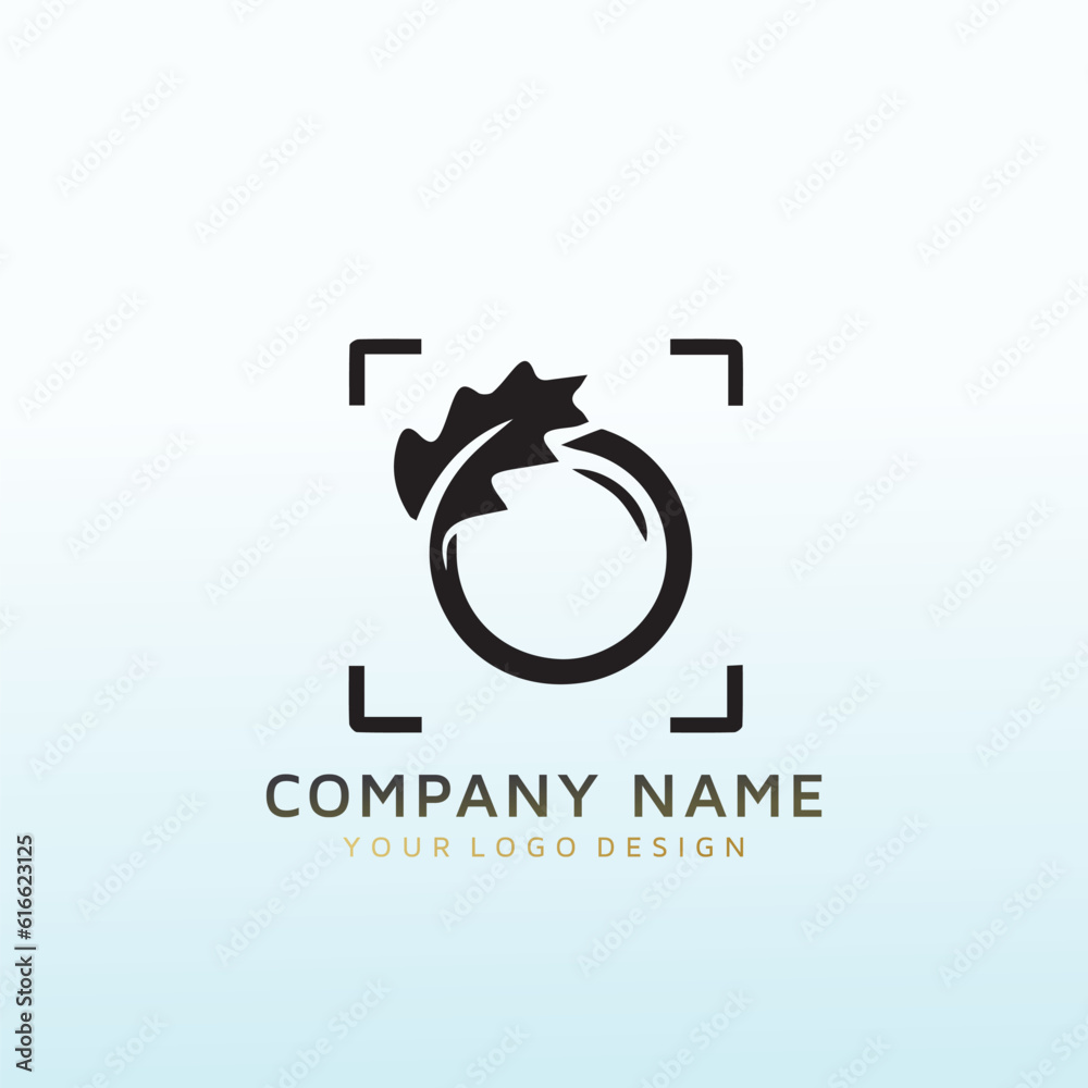 Mountain Photography vector logo design Mountain Photography vector logo design