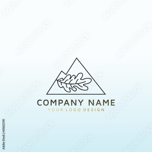 Mountain Photography vector logo design