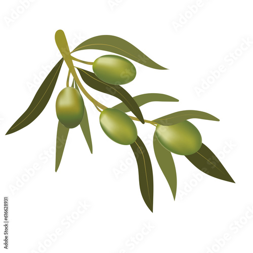 Background with olive branch and green olives. Vegetarian food and healthy lifestyle