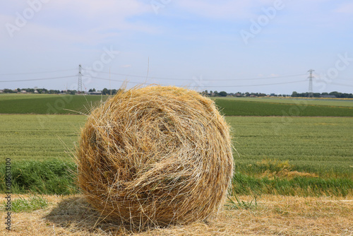 Cut sides of road like hay in a roll photo