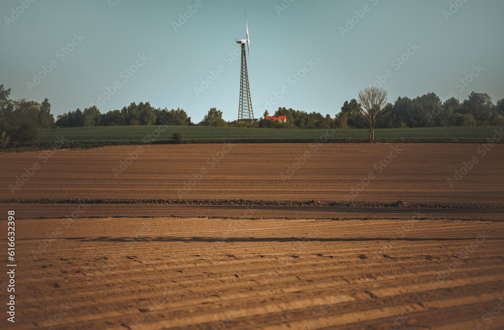 Close-up of the soil of the farmland. Unused plantation field. Landscape scenery a meadow soil. Close-up of the soil of the farmland. Unused plantation field. Landscape scenery a meadow soil.