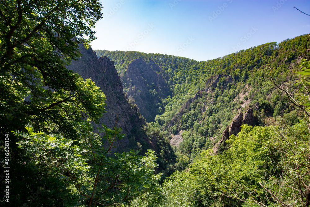 Obraz premium The Bodetal in Harz, a mountain area in Germany in summer 2023